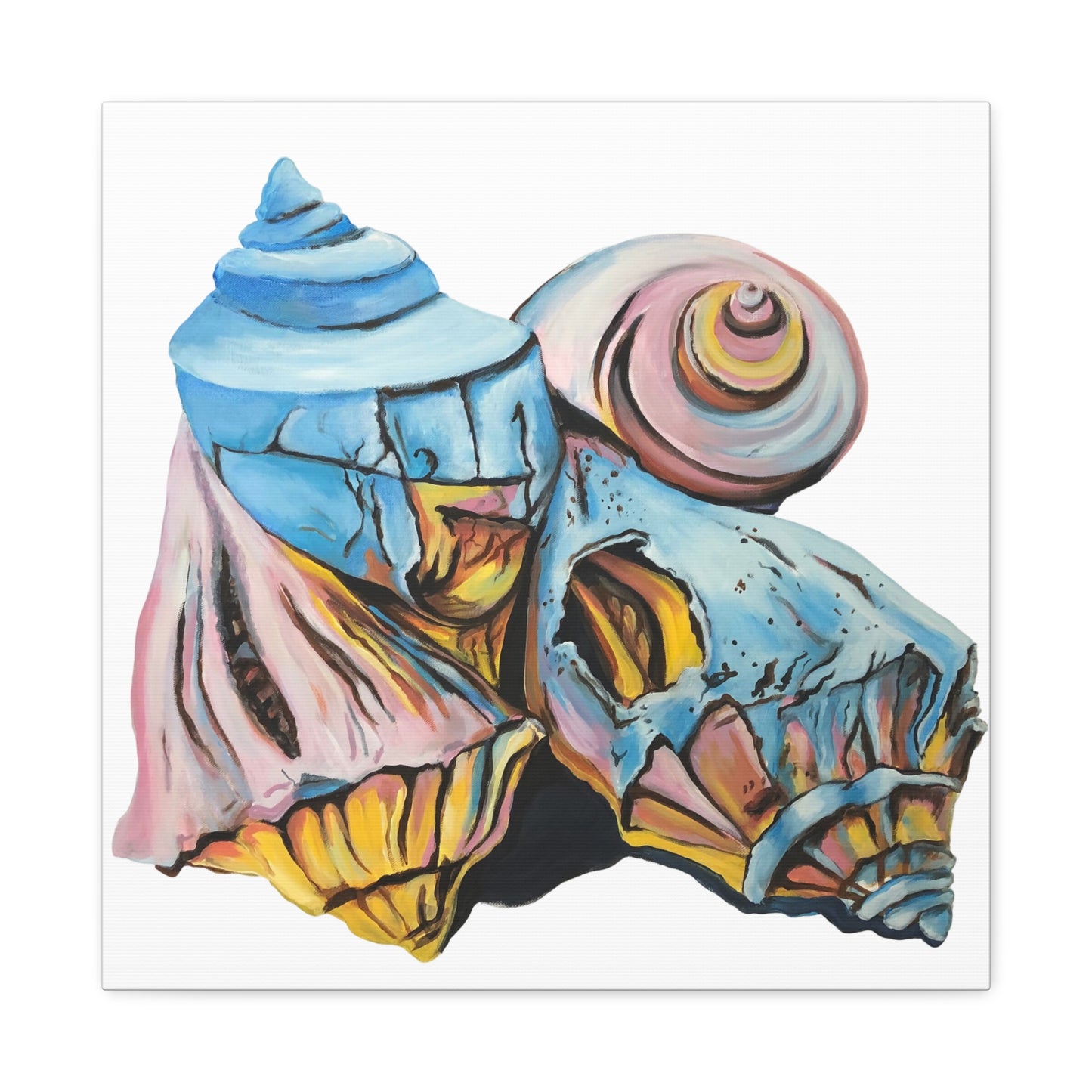 Canvas Gallery Wraps, Artsy Beach Shells, Beachwalker Club Collection