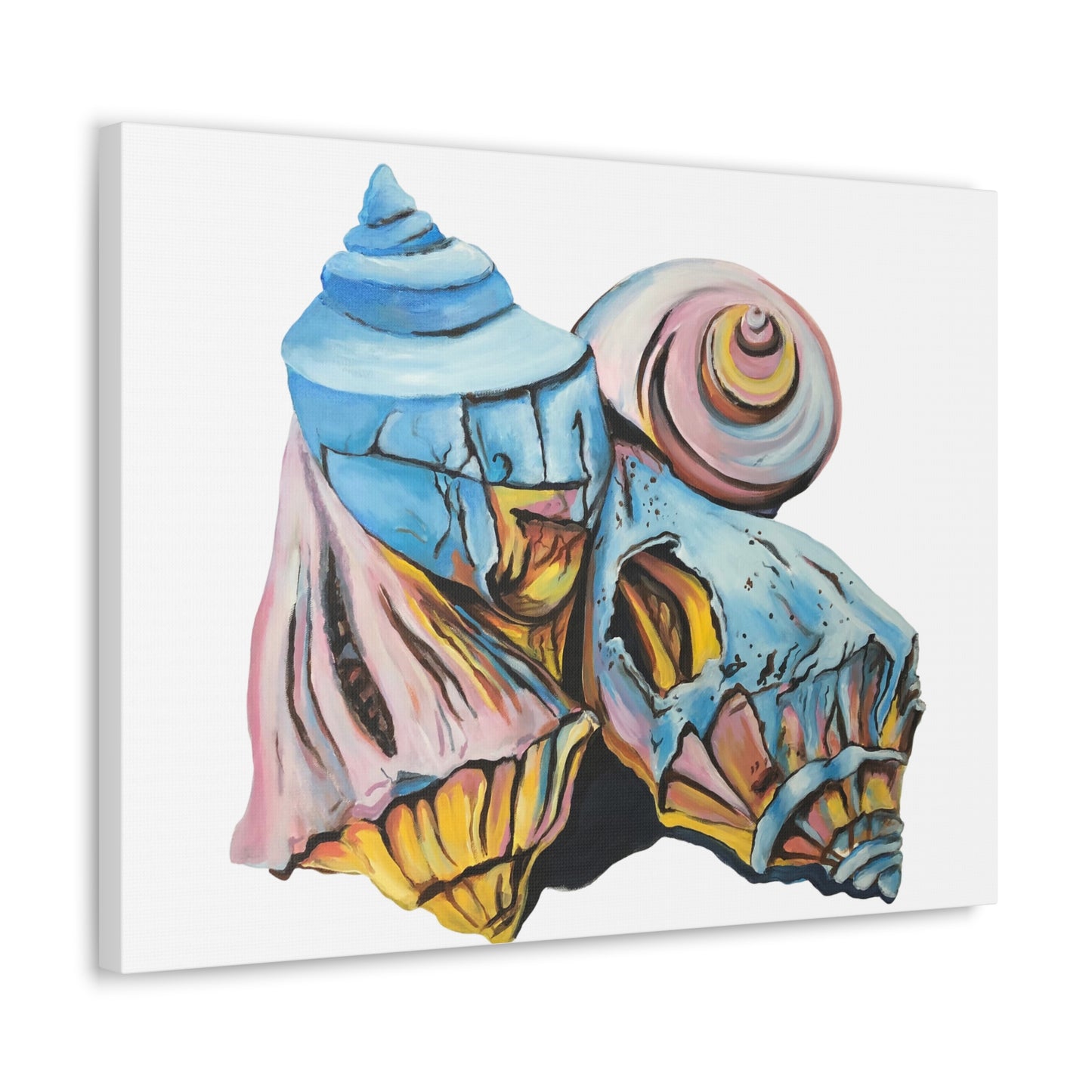 Canvas Gallery Wraps, Artsy Beach Shells, Beachwalker Club Collection