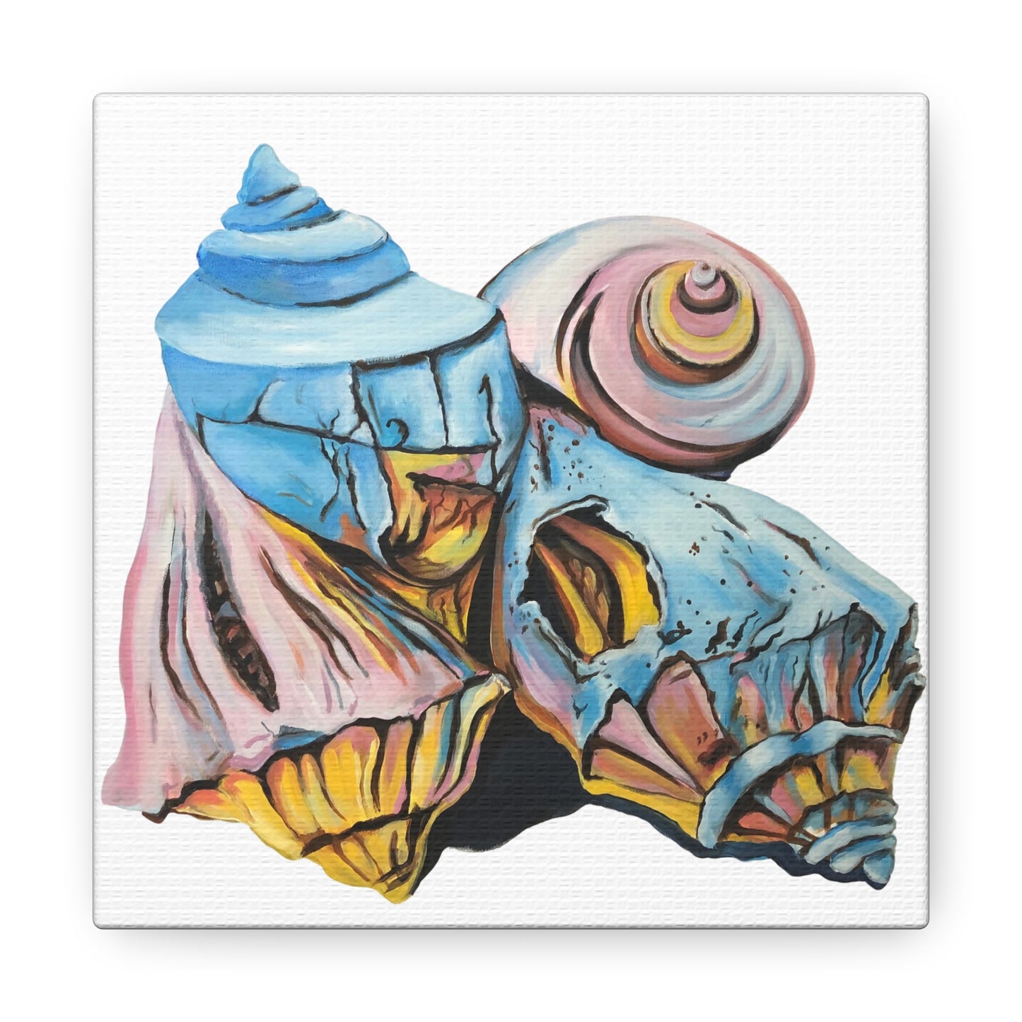 Canvas Gallery Wraps, Artsy Beach Shells, Beachwalker Club Collection