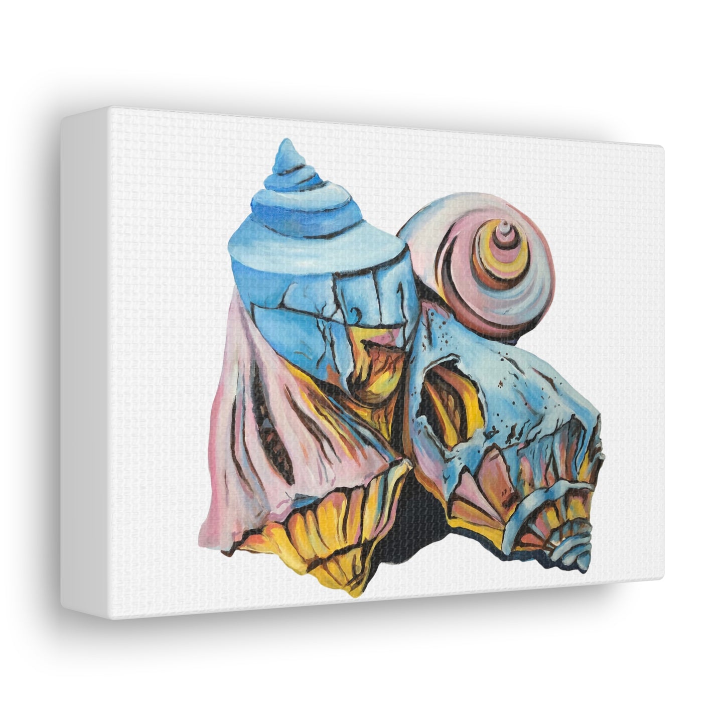 Canvas Gallery Wraps, Artsy Beach Shells, Beachwalker Club Collection