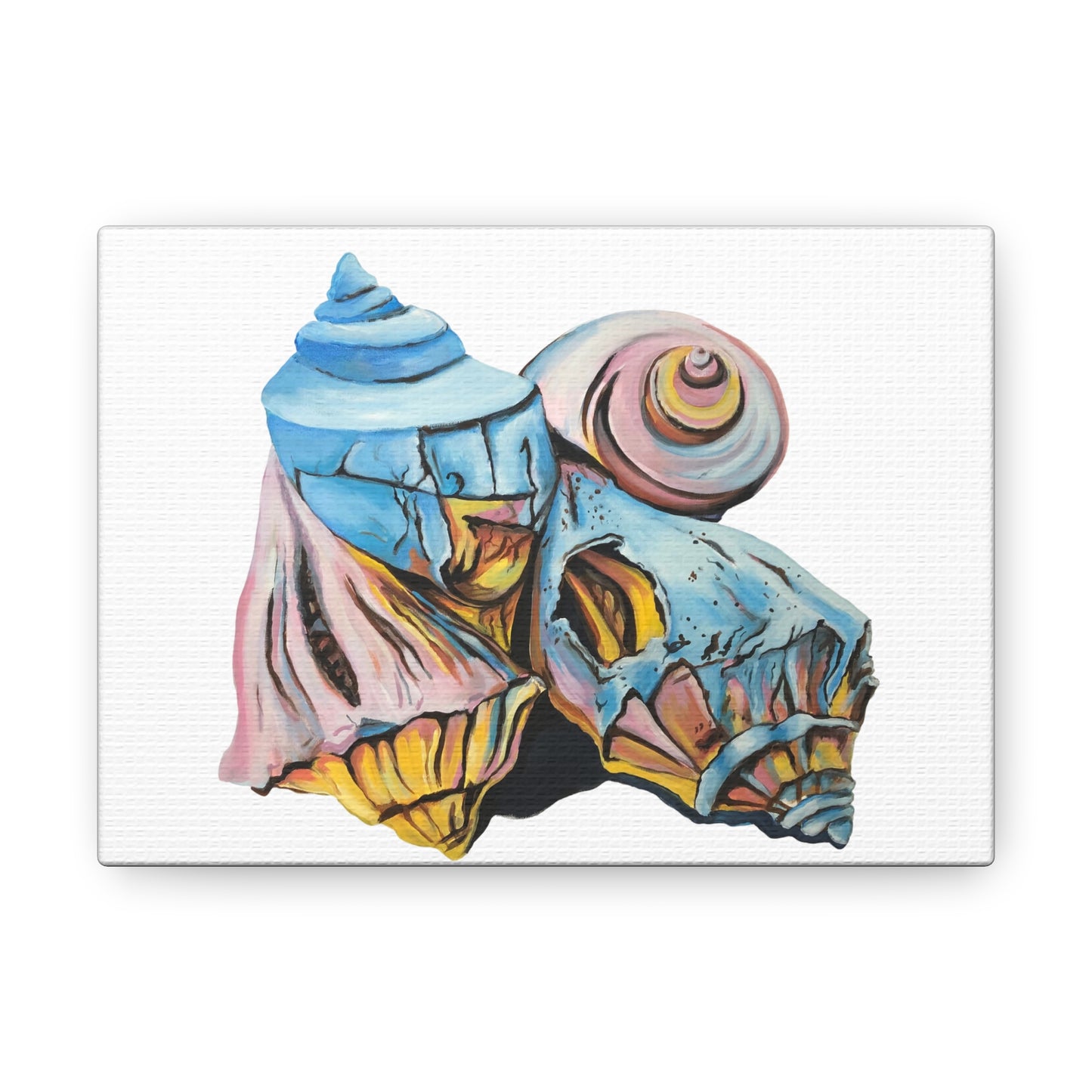 Canvas Gallery Wraps, Artsy Beach Shells, Beachwalker Club Collection