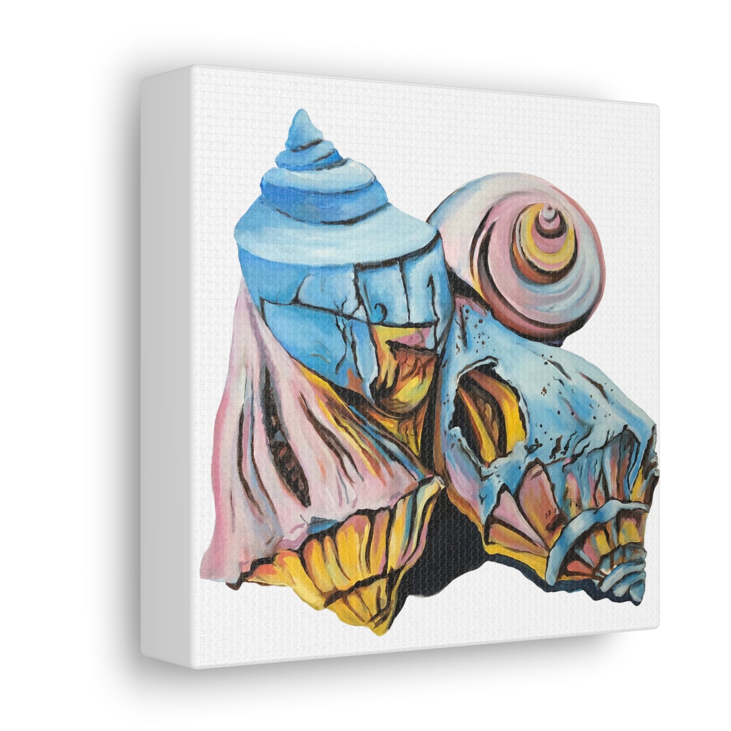 Canvas Gallery Wraps, Artsy Beach Shells, Beachwalker Club Collection