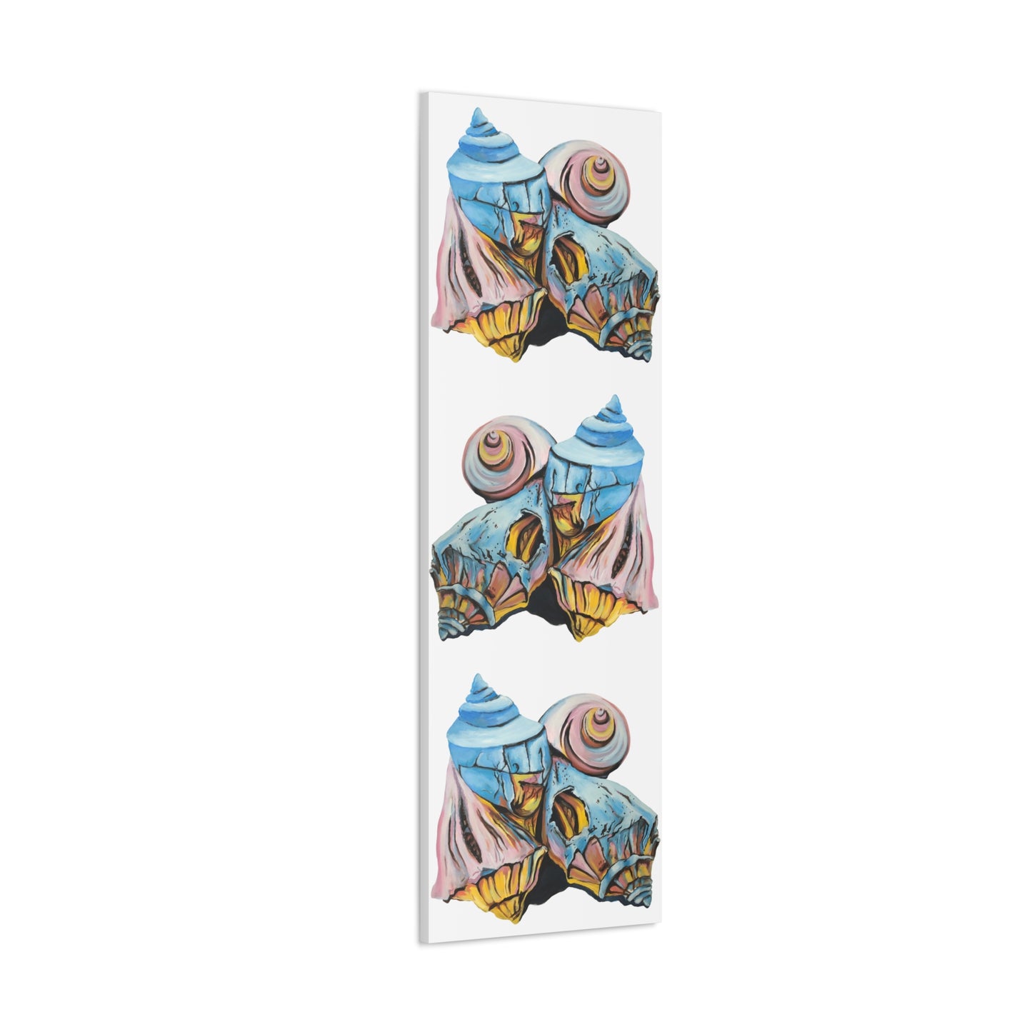 Canvas Gallery Wraps, Artsy Beach Shells, Beachwalker Club Collection