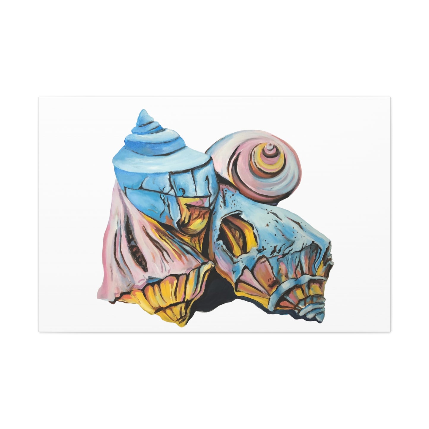Canvas Gallery Wraps, Artsy Beach Shells, Beachwalker Club Collection