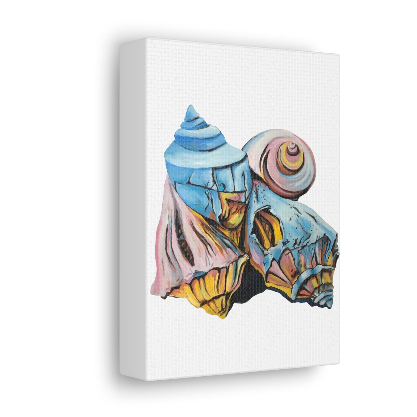 Canvas Gallery Wraps, Artsy Beach Shells, Beachwalker Club Collection
