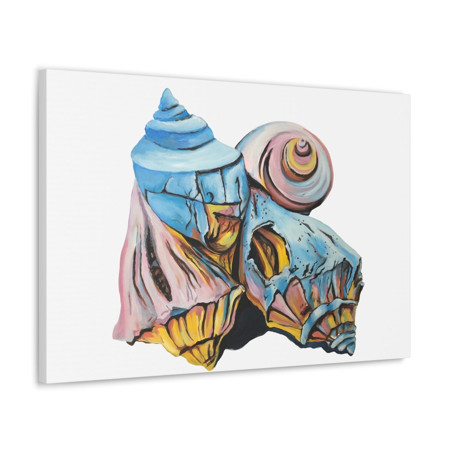 Canvas Gallery Wraps, Artsy Beach Shells, Beachwalker Club Collection