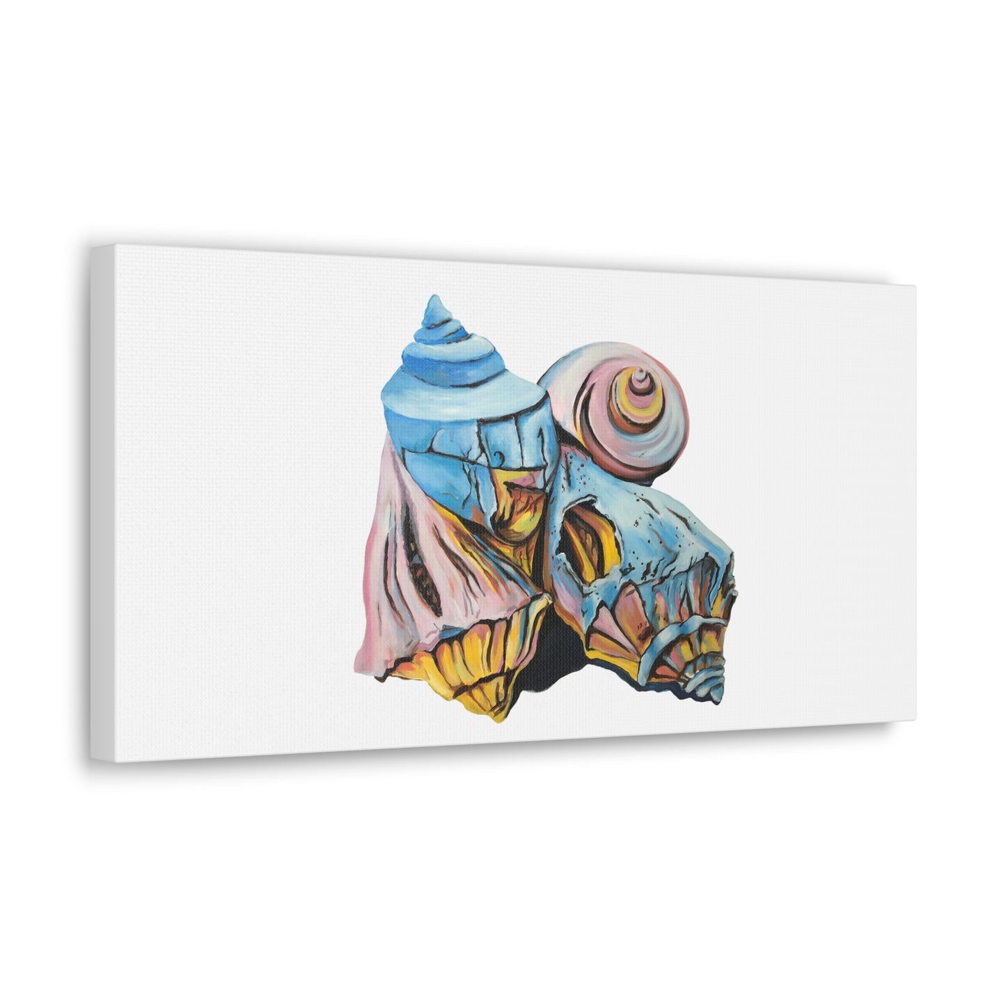 Canvas Gallery Wraps, Artsy Beach Shells, Beachwalker Club Collection