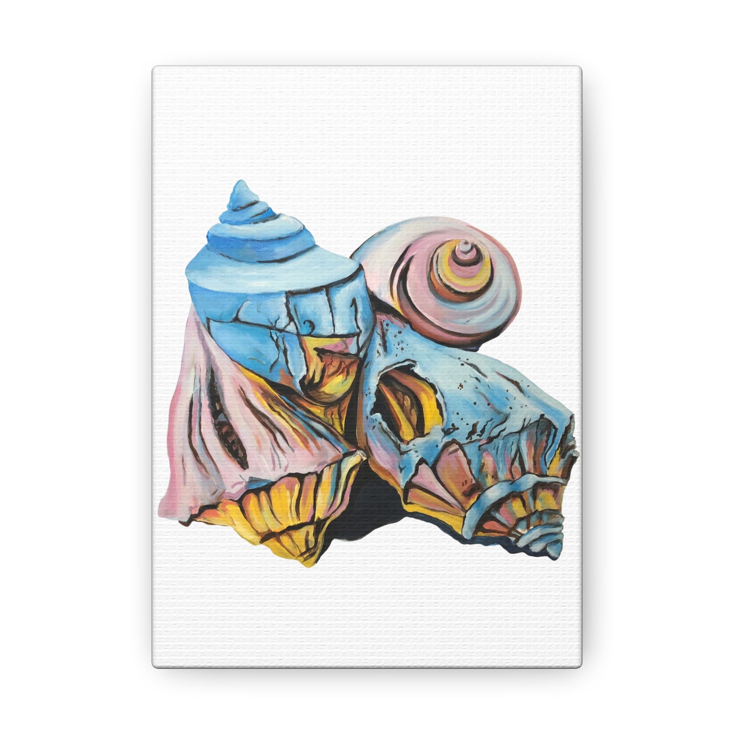Canvas Gallery Wraps, Artsy Beach Shells, Beachwalker Club Collection