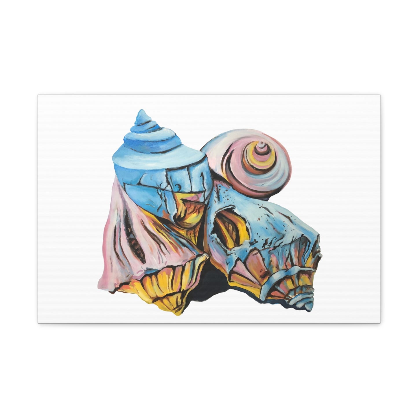 Canvas Gallery Wraps, Artsy Beach Shells, Beachwalker Club Collection