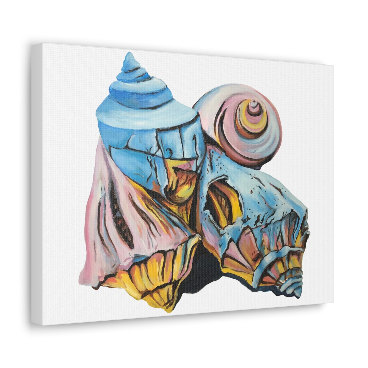 Canvas Gallery Wraps, Artsy Beach Shells, Beachwalker Club Collection
