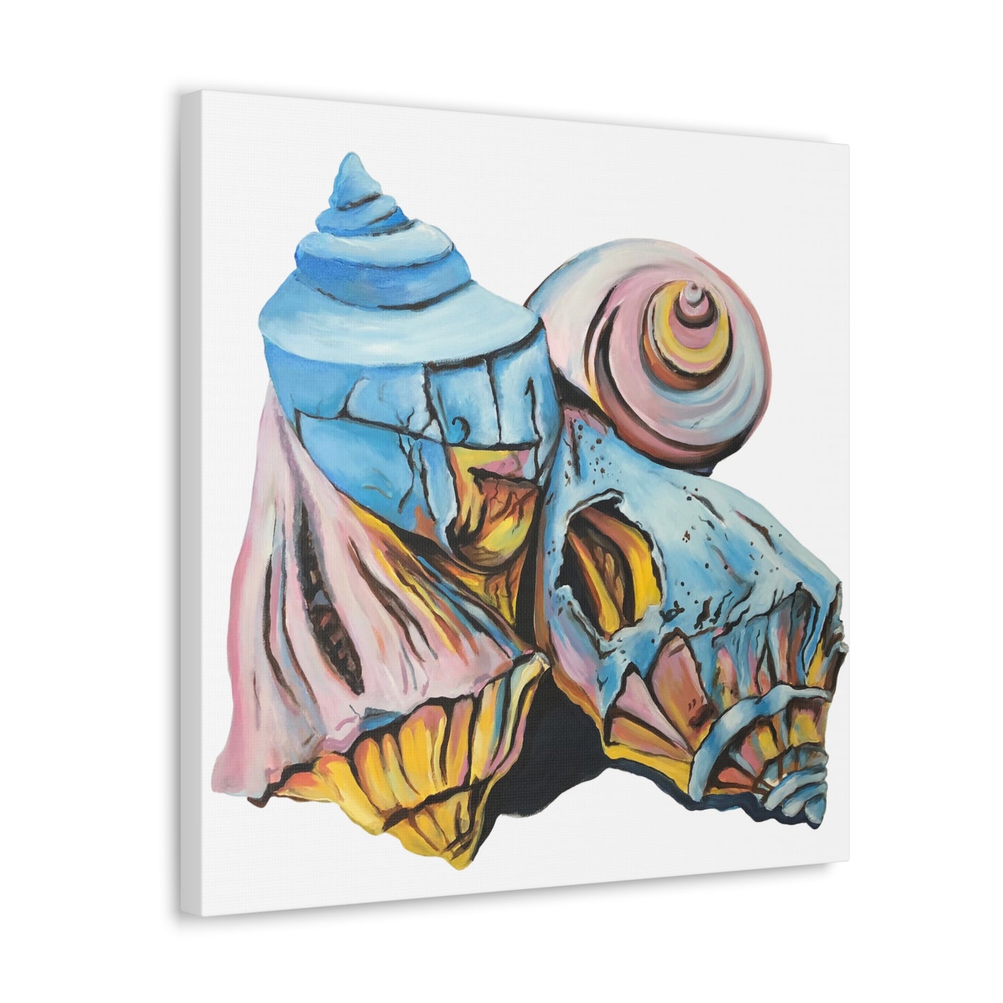 Canvas Gallery Wraps, Artsy Beach Shells, Beachwalker Club Collection