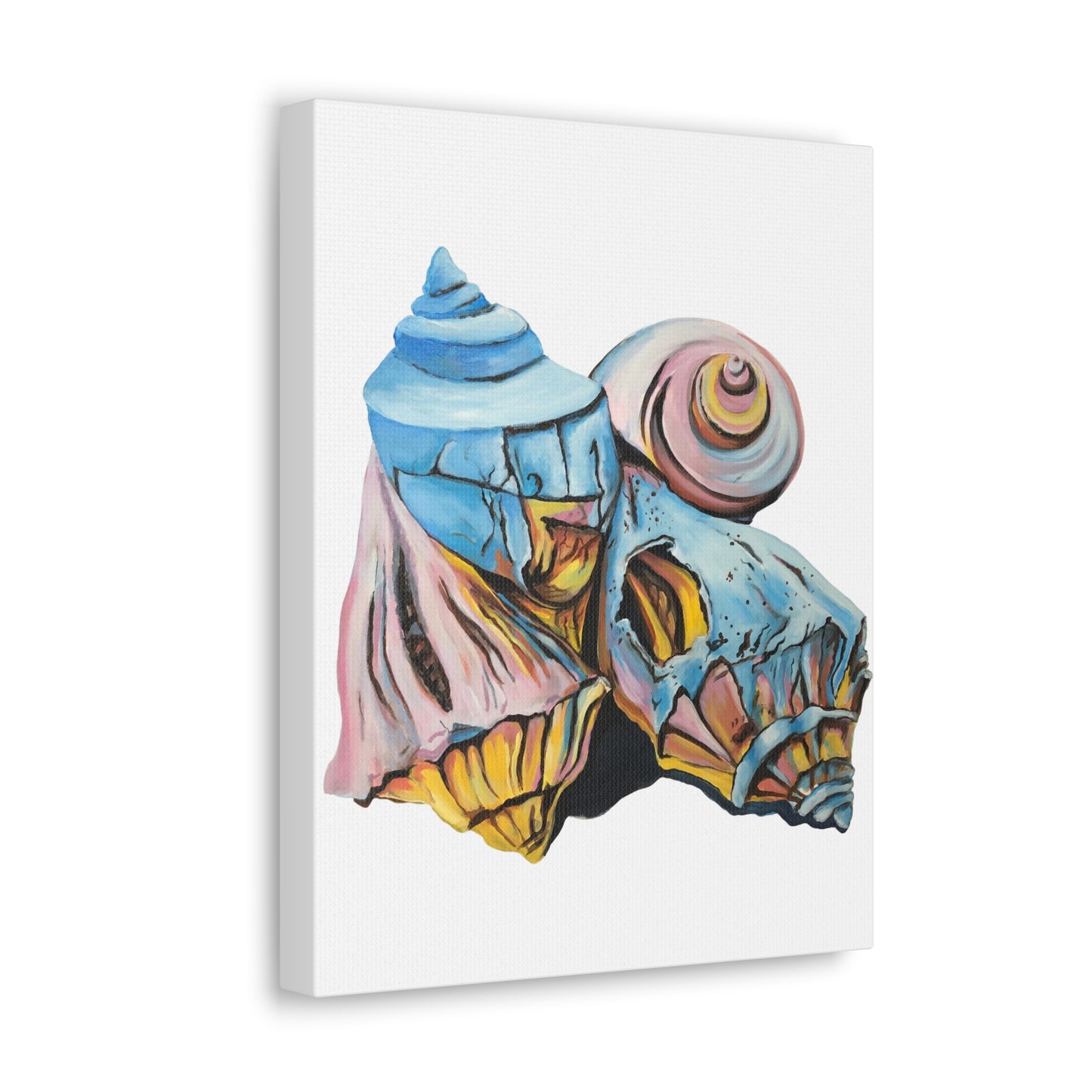 Canvas Gallery Wraps, Artsy Beach Shells, Beachwalker Club Collection