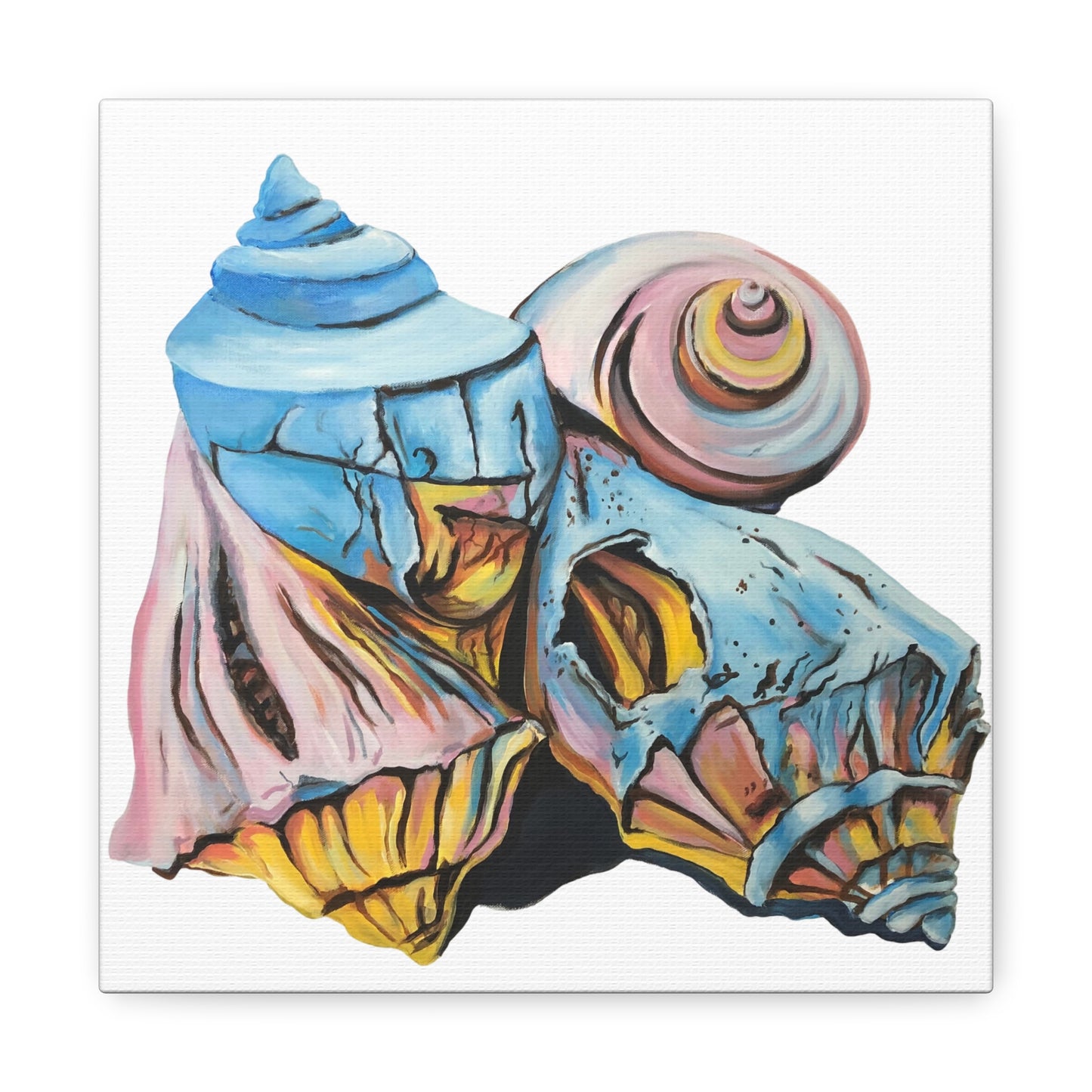 Canvas Gallery Wraps, Artsy Beach Shells, Beachwalker Club Collection