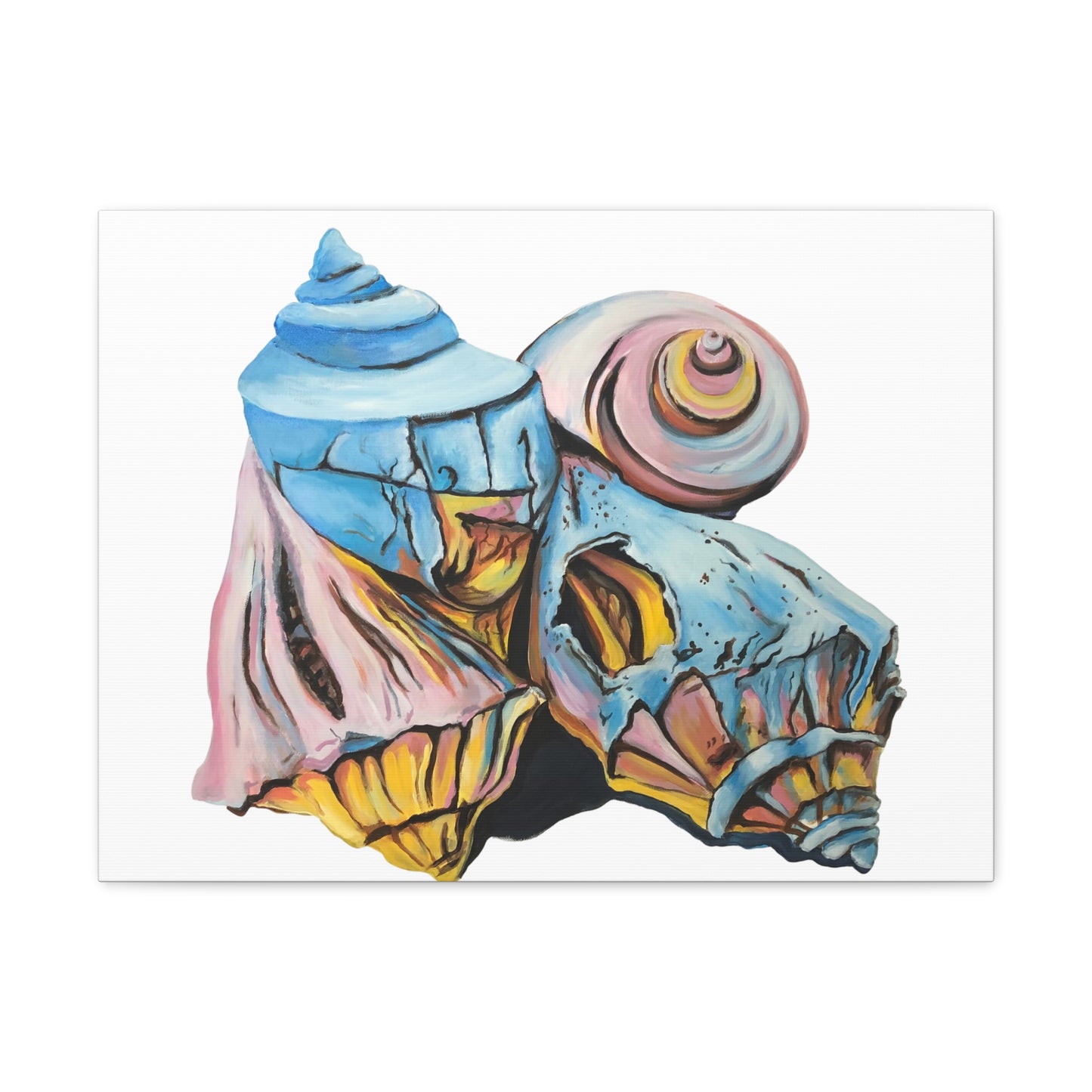 Canvas Gallery Wraps, Artsy Beach Shells, Beachwalker Club Collection
