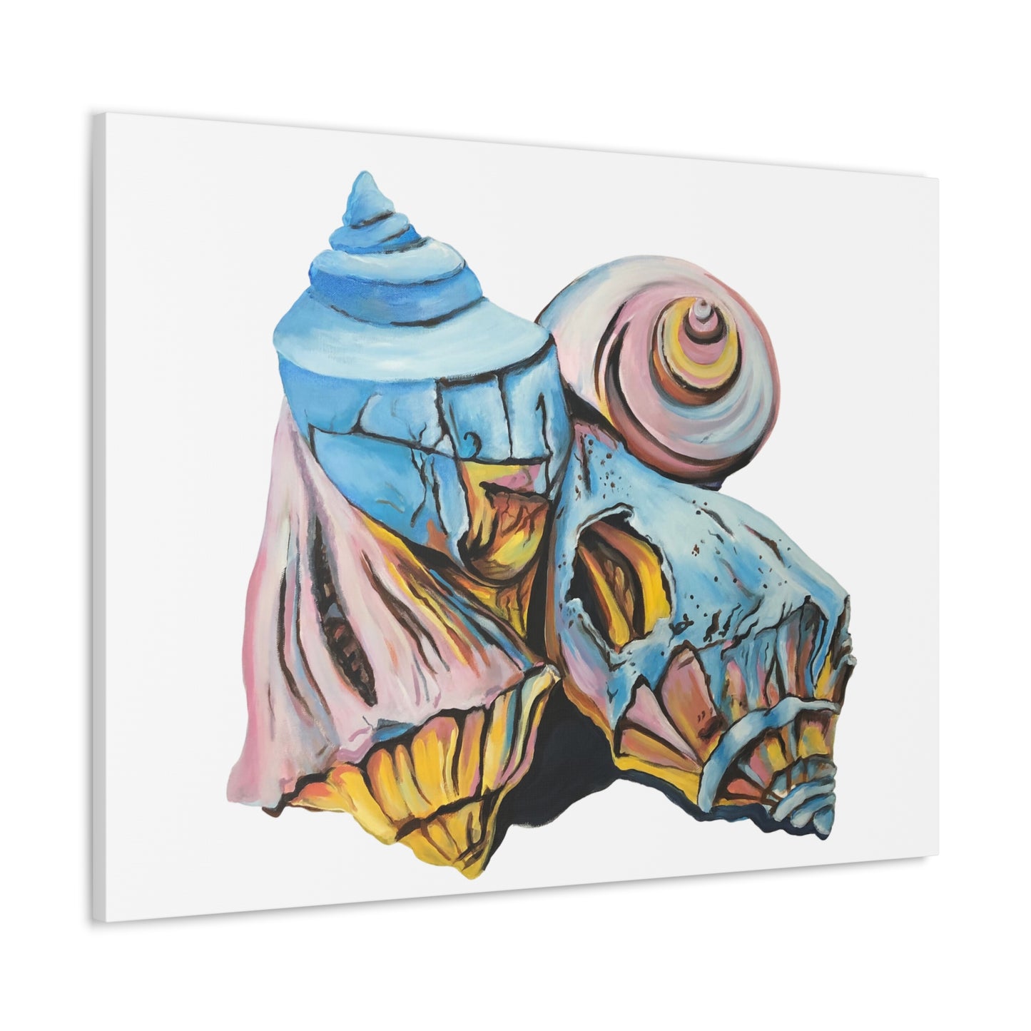 Canvas Gallery Wraps, Artsy Beach Shells, Beachwalker Club Collection