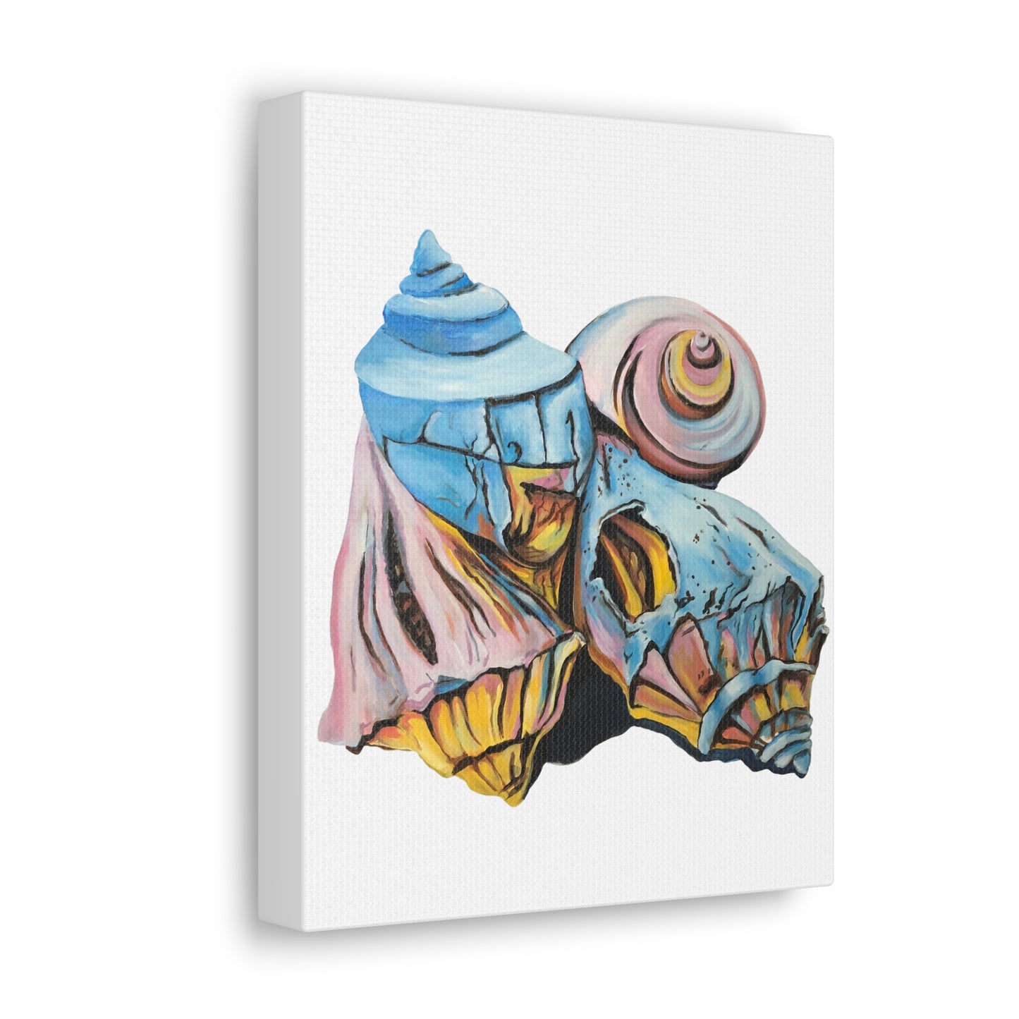 Canvas Gallery Wraps, Artsy Beach Shells, Beachwalker Club Collection