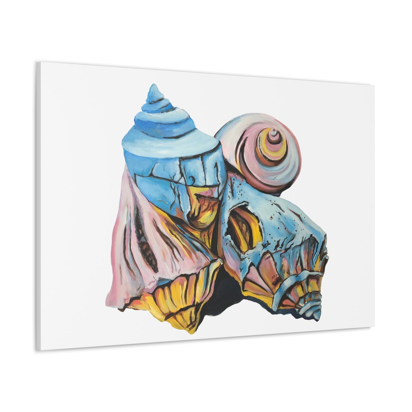 Canvas Gallery Wraps, Artsy Beach Shells, Beachwalker Club Collection