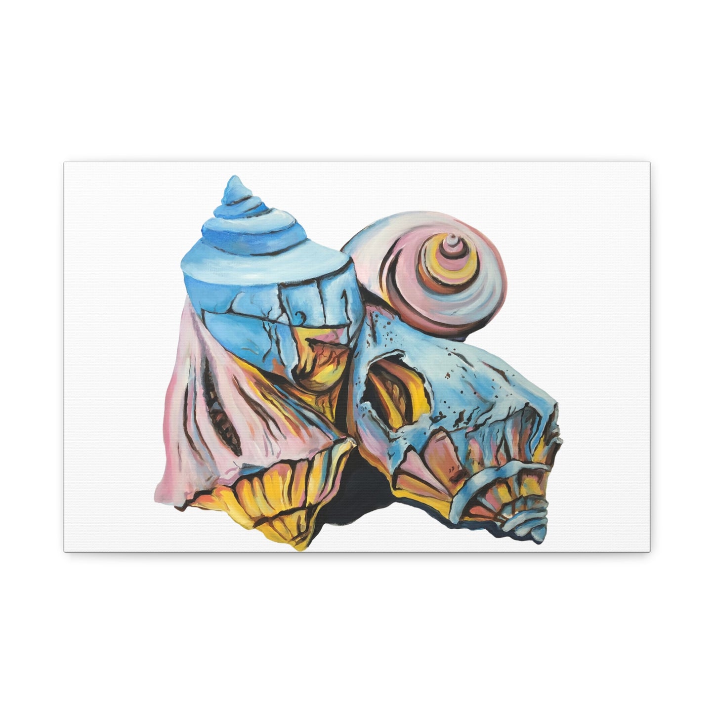 Canvas Gallery Wraps, Artsy Beach Shells, Beachwalker Club Collection